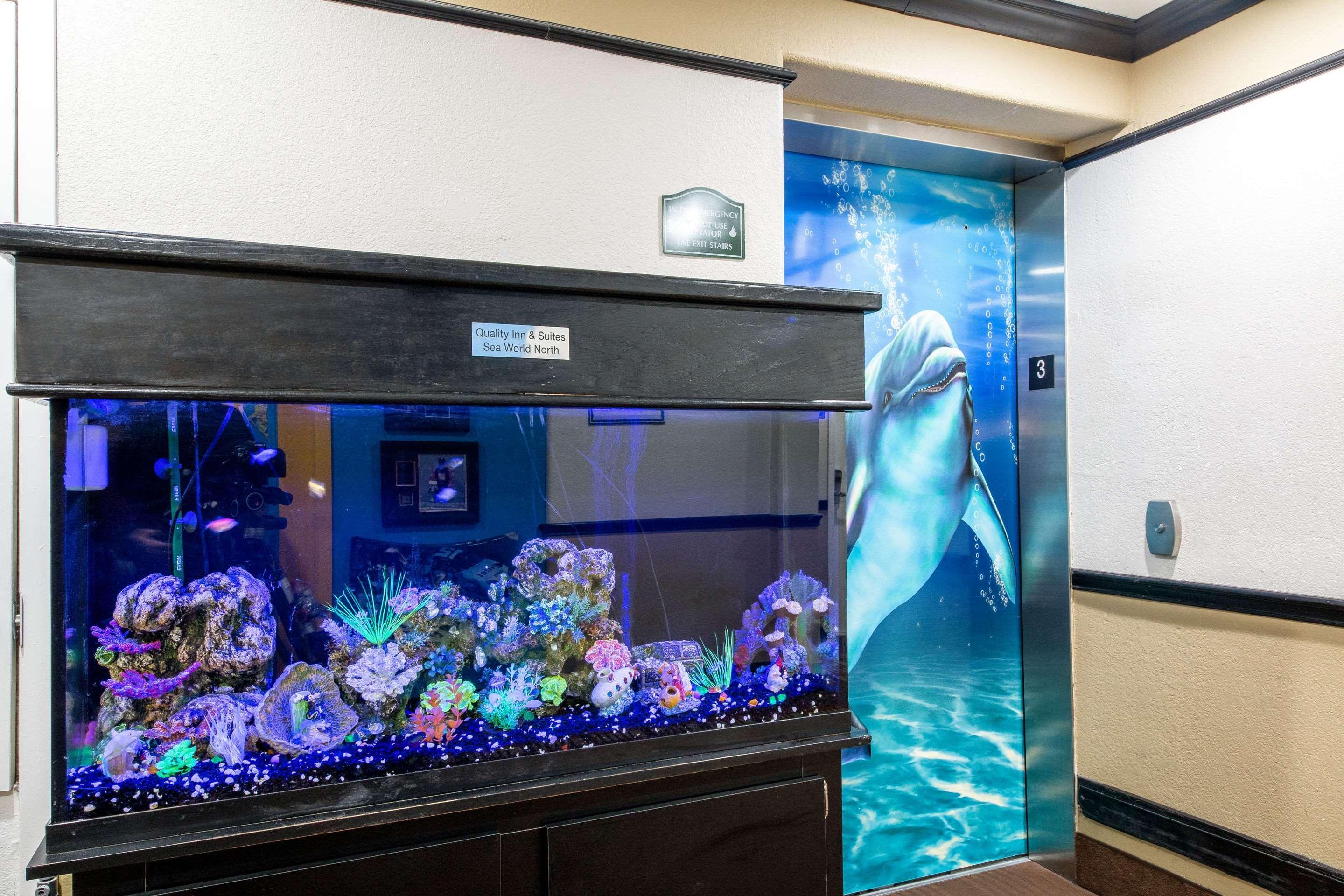 Quality Inn & Suites Seaworld North San Antonio Luaran gambar